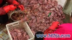 video thumbnail wuhan market 1